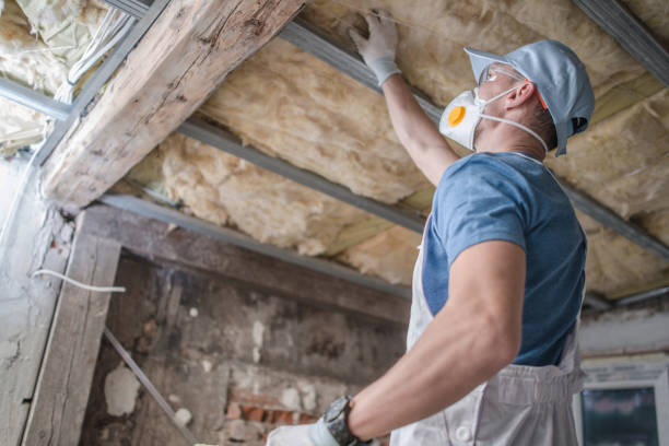 Best Insulation Maintenance and Repair in Desnso, CA