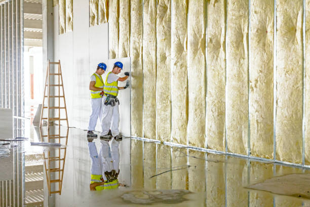Best Specialty Insulation in Desnso, CA